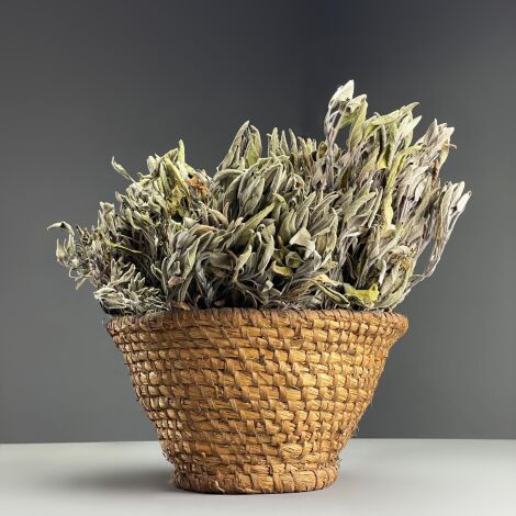 Sage, 30cm long by 15 cm wide dried herb bunch, indigenous UK grown