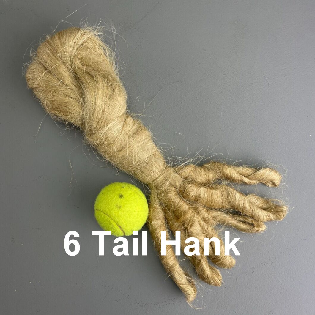 6 tail copy.jpg