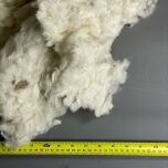 WOOL 2.jpg