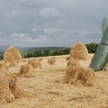 Hay Stooks - www.brandonthatchers.co.uk