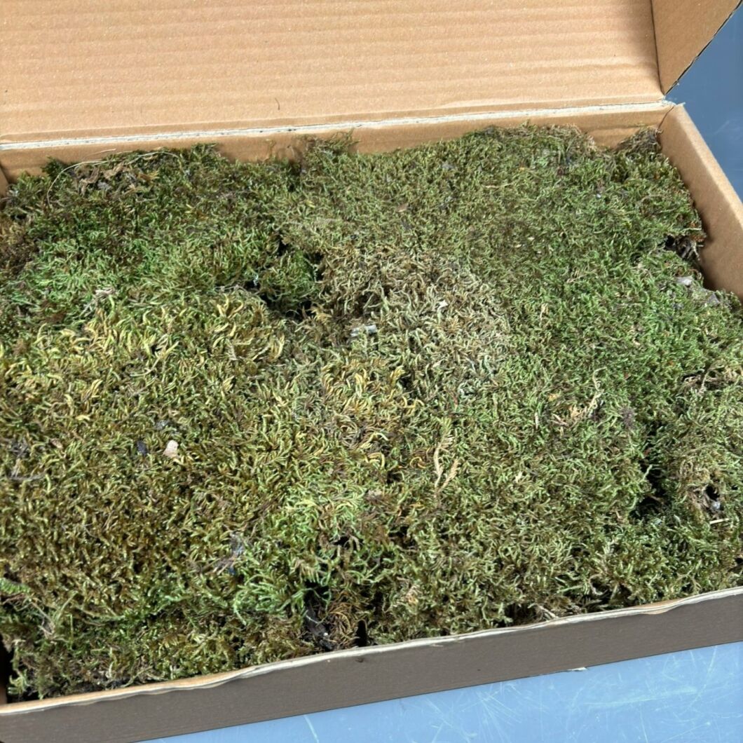 www.brandonthatchers.co.uk Flat Moss 4 FLATMOSS3A.jpg