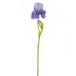 Iris Spray Purple 79cm.jpg