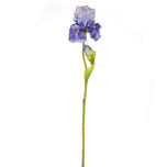 Iris Spray Purple 79cm.jpg Iris Spray Purple 79cm.jpg