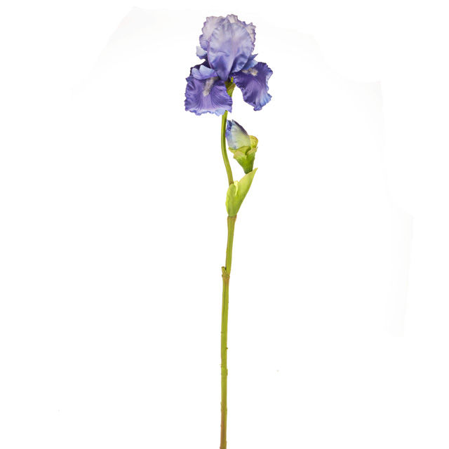 Iris Spray Purple 79cm.jpg Iris Spray Purple 79cm.jpg