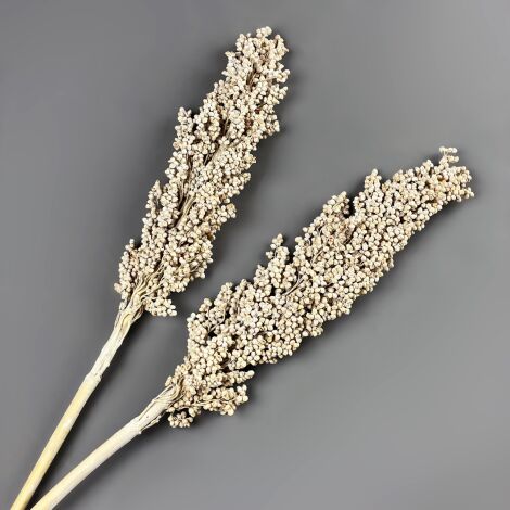 Scrub Sedge x 10 stems, approx. 70 cm long by 8 cm Wide, Natural Dried Floral Deco