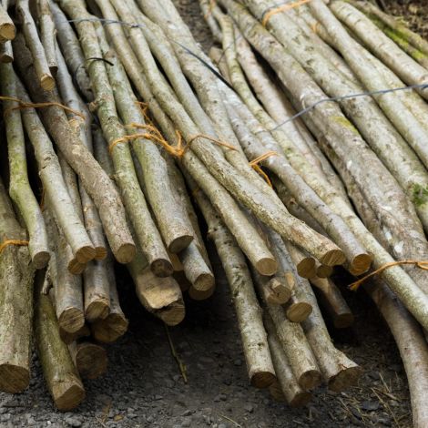 Rustic Hazel Bundles, approx. ½”, 1” an 2” diameter by 3m long, runners and binders. Natural UK grown indigenous wood, weave to make hurdles, laid hedges etc.