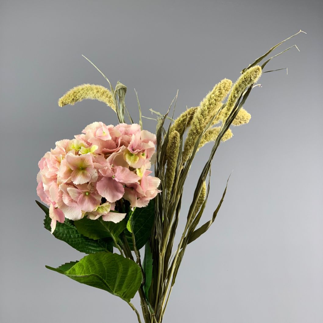 Pink Hydrangea - www.BrandonThathers.co.uk IMG_0885.jpg
