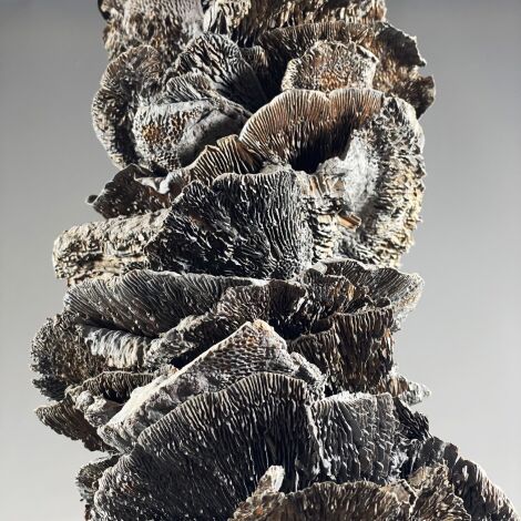 Sponge Mushroom Garland approx. 100 cm long by 15 cm diameter. Natural Dried Floral Deco