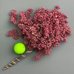 IMG_7707.jpeg