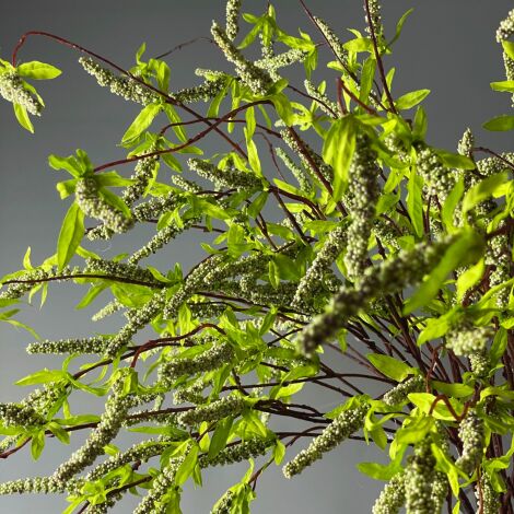 Catail Leaf Vine, poseable stem, 104 cm long