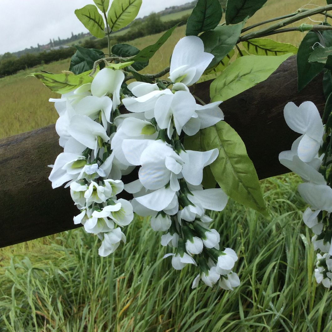 Wisteria Garland, Cream, 2m - www.BrandonThatchers.co.uk