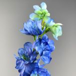 Delphinium Blue 86 cm - www.BrandonThatchers.co.uk