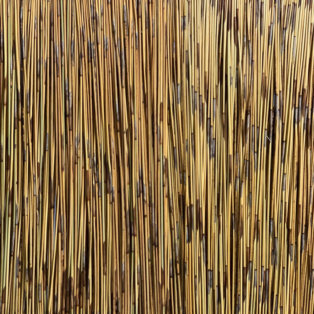 Panel Cape reed – www.BrandonThatchers.co.uk IMG_2637.jpg