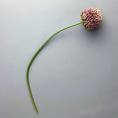 Allium, Hedgerow, Pink 55cm tall artificial bloom with poseable wired stem