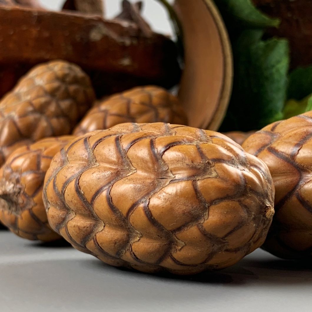 Dragon eggs - www.BrandonThathers.co.uk IMG_4092.jpg