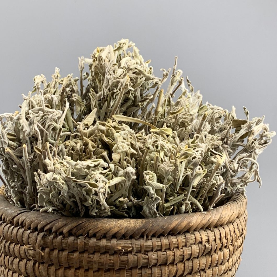 Sage 20cm long by 10 cm wide dried herb UK grown