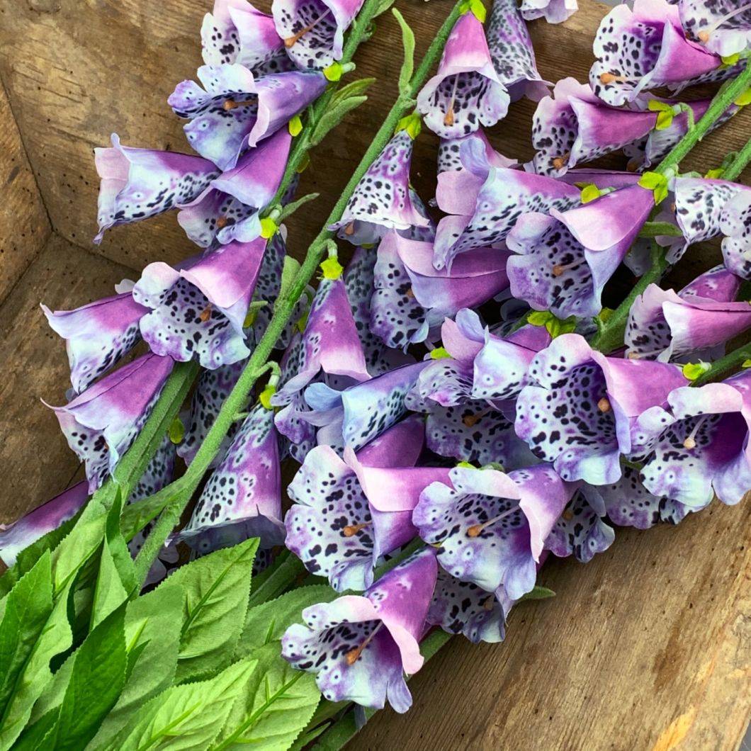 Foxglove, Purple, 107 cm - www.BrandonThatchers.co.uk Foxglove, Purple, 107 cm - www.BrandonThatchers.co.uk