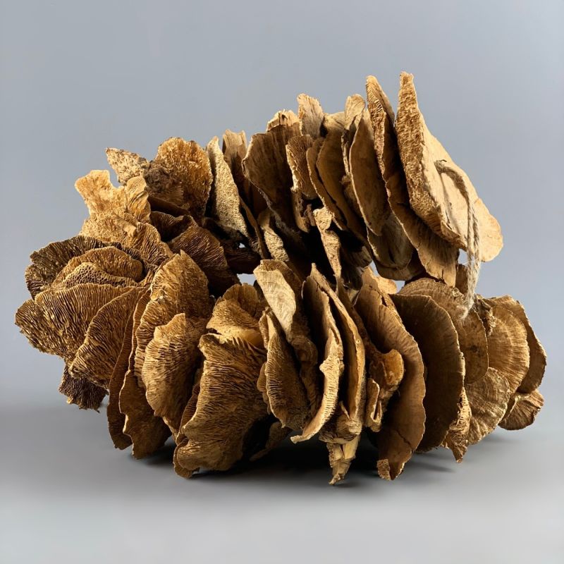 Sponge Mushroom Garland approx. 100 cm long
