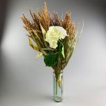 Ivory Hydrangea - www.BrandonThathers.co.uk IMG_0912.jpg