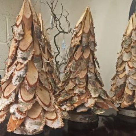 Silver Birch Slices - Decorative Tree