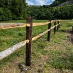 Cleft Chestnut 2 rail.JPG