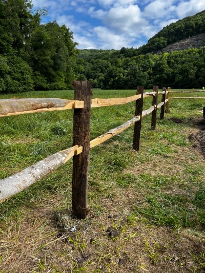 Chestnut Posts Rgh Cleft Split Chestnut Post & Rail Fencing, with 2 or 3 mortice posts ...