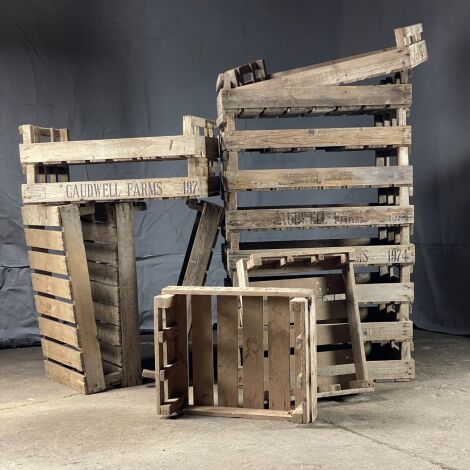 Vintage Fruit and Vegetable Crates (216 available) - RENTAL ONLY