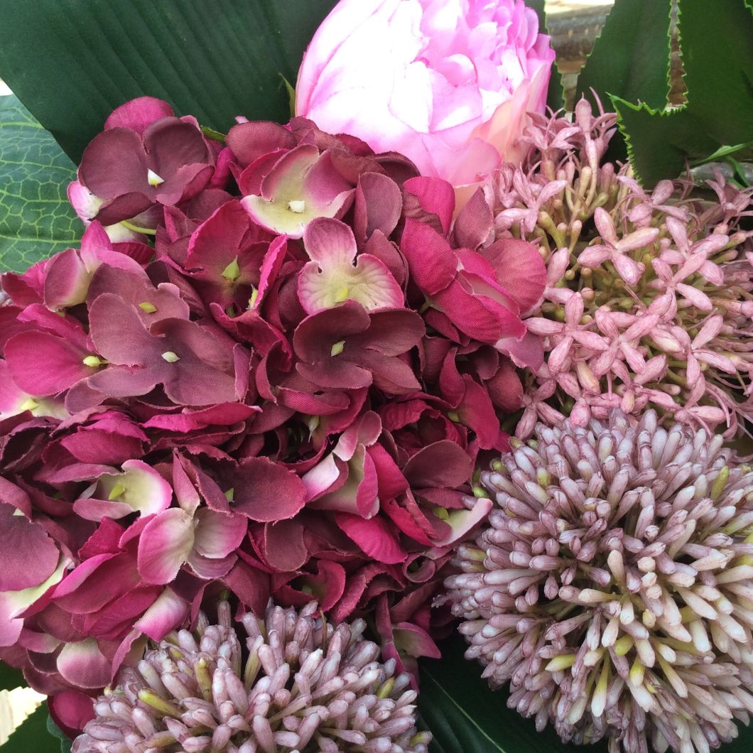 Allium Giant Blush Pink, 12 cm head www.BrandonThatchers.co.uk Allium Giant Blush Pink, 12 cm head www.BrandonThatchers.co.uk