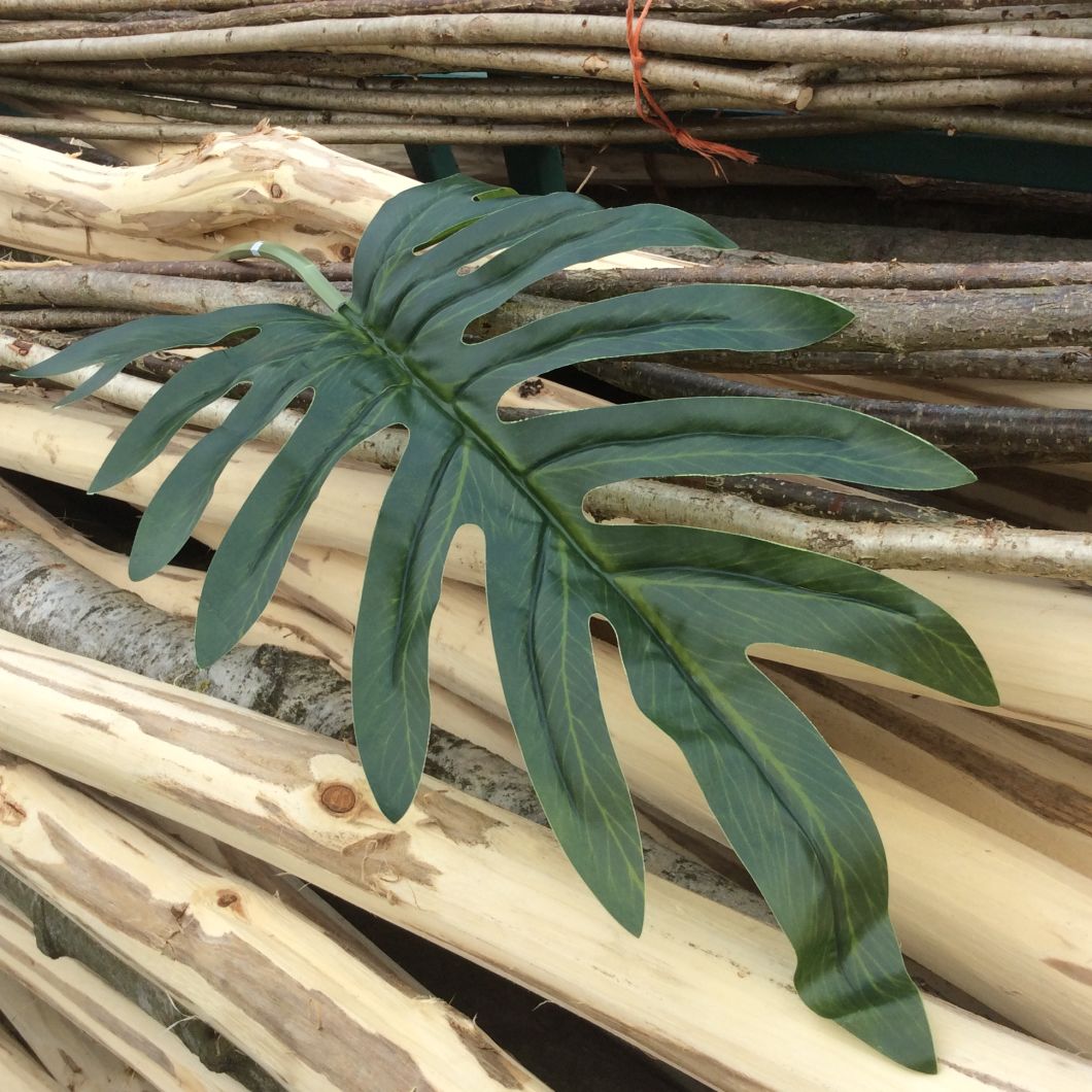 Philodendron Tropical Leaf - www.BrandonThatchers.co.uk Philodendron Tropical Leaf - www.BrandonThatchers.co.uk