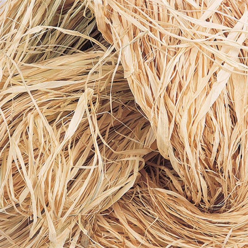 RAFFIA.jpg