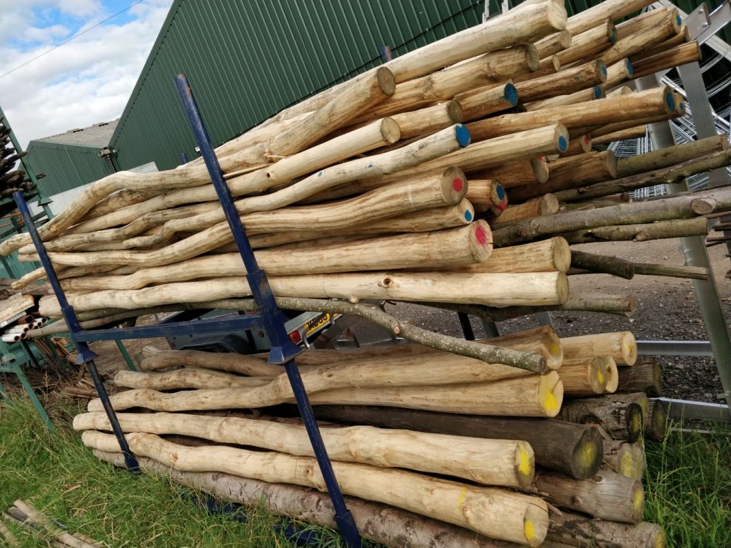 Stripped rustic pole – www.BrandonThatchers.co.uk 