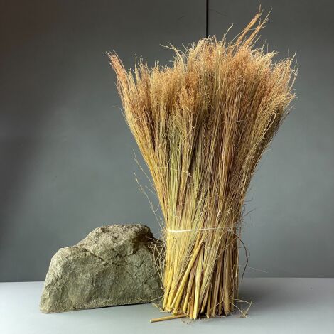 Sirak, approx. 100 cm tall by 15 cm wide, natural dried floral deco bundle