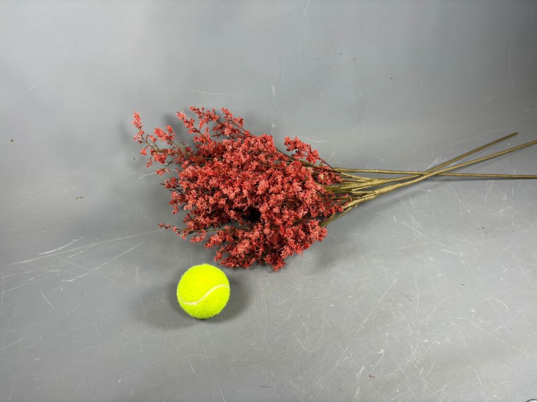 BLOOMRED4.jpg