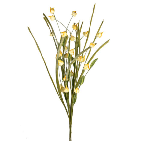 English Wild Droplet Spray - Yellow