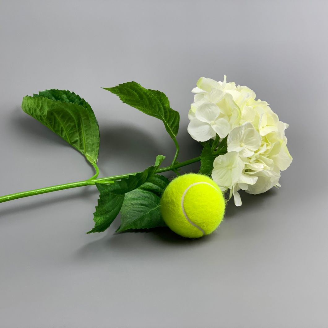 Ivory Hydrangea - www.BrandonThathers.co.uk IMG_0915.jpg