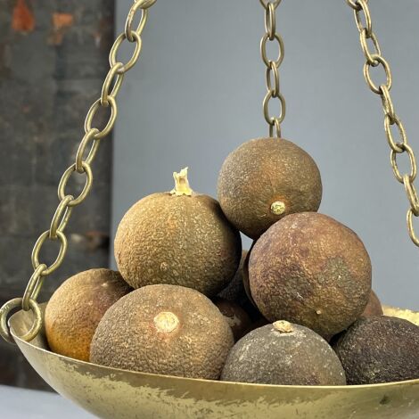 Altered Oranges, Dried x 14, approx. 5 cm diameter, natural, dried produce, floral deco