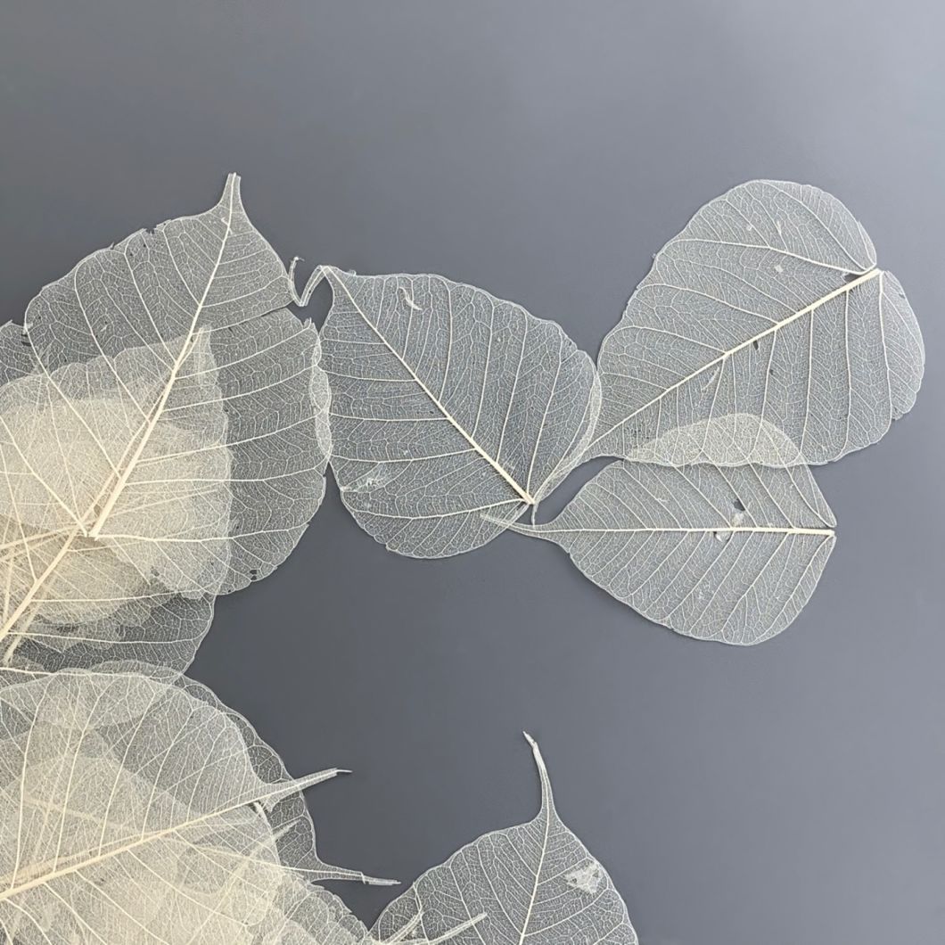 Skeletal Leaf - www.BrandonThathers.co.uk IMG_4467.jpg