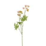 Tutti-Frutti-Meadow-Pink-e1506425503372.jpg Tutti-Frutti-Meadow-Pink-e1506425503372.jpg