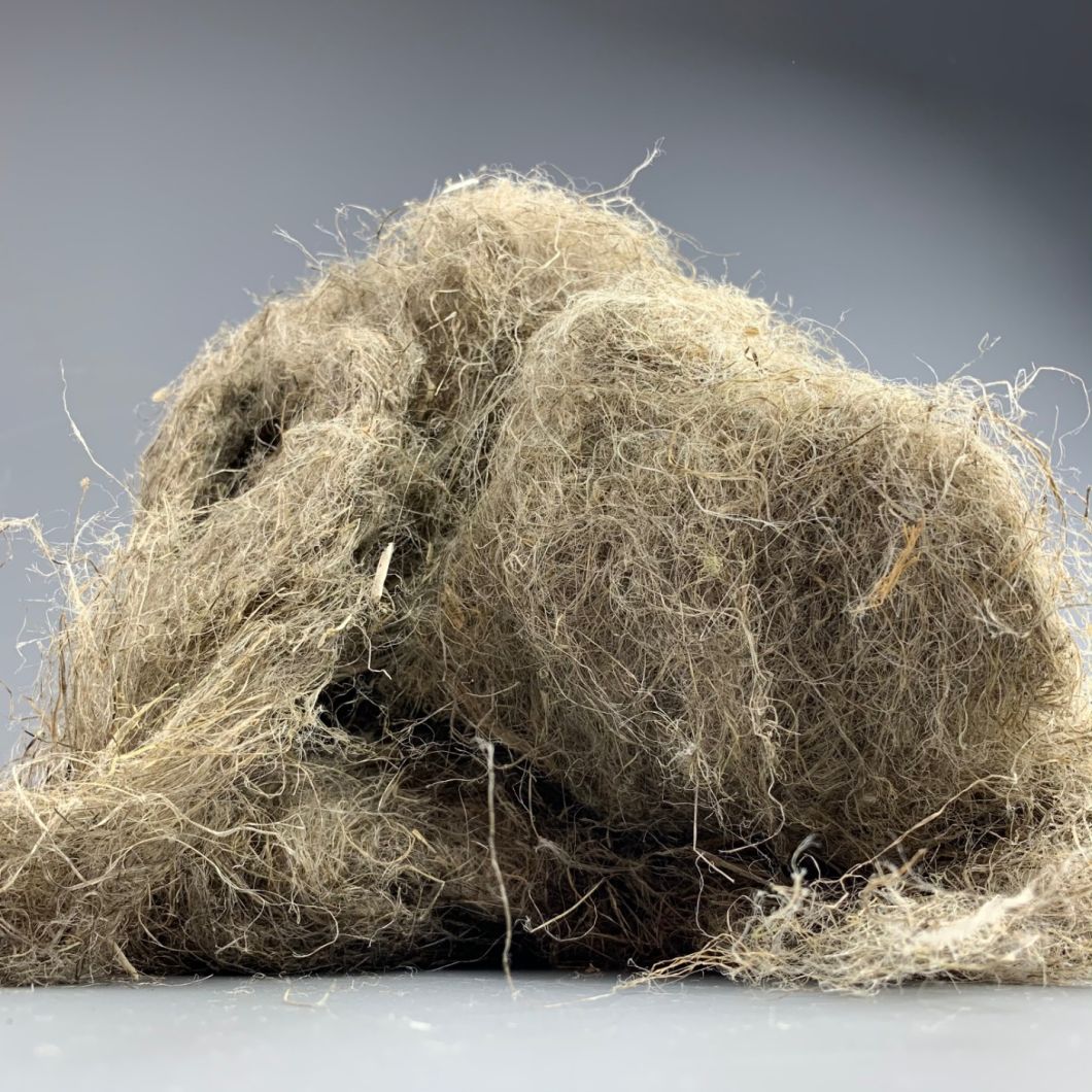 Hemp Fibre - www.BrandonThathers.co.uk IMG_5458.jpeg