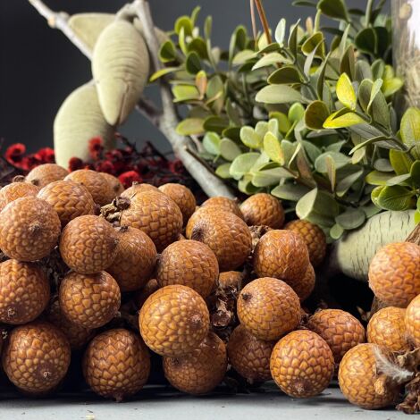 Rattan Grape Bunch, approx. 40 cm long by 18 cm wide. Natural dried floral deco