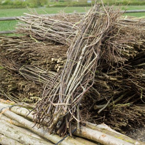 Hazel – www.BrandonThatchers.co.uk  Forest Bundle, approx. 2m long by 30 cm diameter, rough cut woodland sticks. Natural, UK grown indigenous wood.