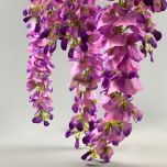 Wisteria Purple - www.BrandonThathers.co.uk IMG_1157.jpg