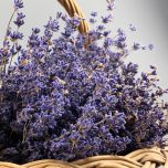 Lavender 30cm long - www.BrandonThatchers.co.uk