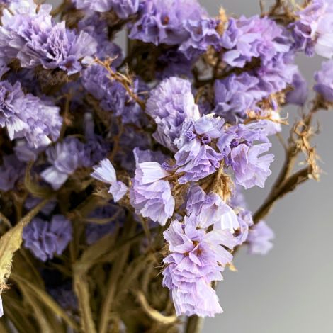 Statice Periwinkle, approx. 55cm tall. Natural dried flowers.