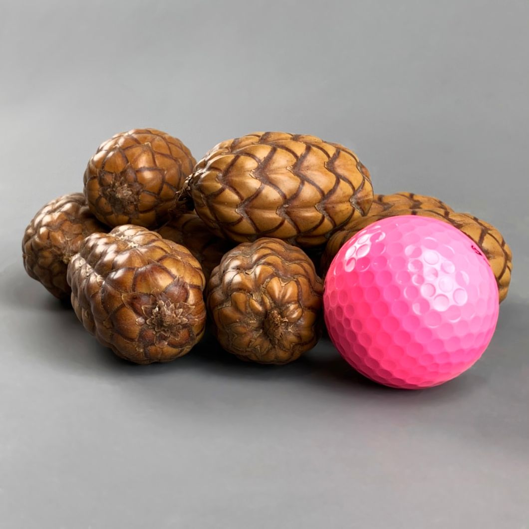 Dragon eggs - www.BrandonThathers.co.uk IMG_4088.jpg