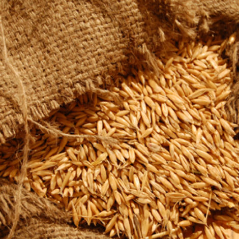 Cereal Grains x 20 kg. UK grown natural whole grains 