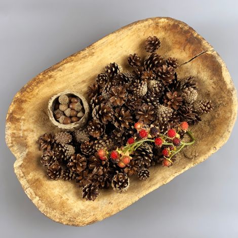 Pinecones x 1 KG, approx. 5cm long by 3 cm diameter, natural, UK grown, indigenous dried floral deco