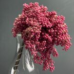 IMG_7717.jpeg