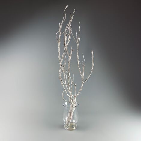 Tara Tree Branch approx. 105 cm Tall with a 20 cm Spread. Whitewashed Dried Floral Deco