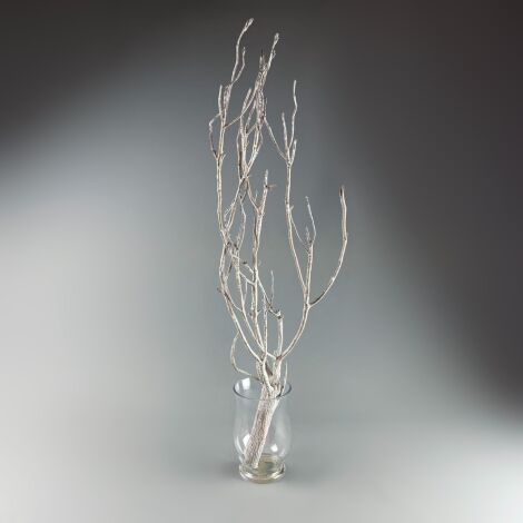 www.brandonthatchers.co.uk Tara Tree Branch approx. 105 cm Tall with a 20 cm Spread. Whitewashed Dried Floral Deco